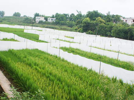 科研基地